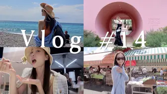 Download Video: Vlog 14｜南法“假日”🌹被玫瑰击中的夏天｜美的“代价”是不能动弹｜10点才日落的城市｜被大海治愈的每天｜又吃到了南法的生蚝🦪｜争分夺秒晒太阳