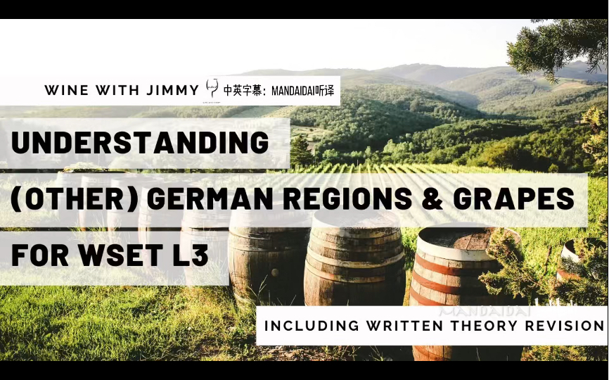 [中英字幕] 德国其他产区及品种|WSET三级|WWJ Other German Regions & Grapes哔哩哔哩bilibili