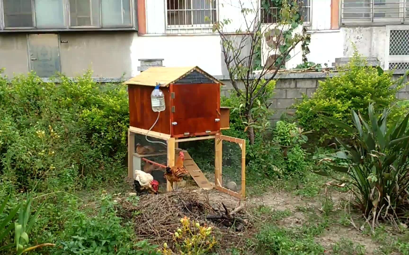 自制鸡舍结构详解_哔哩哔哩 (゜-゜)つロ 干杯~-bilibili