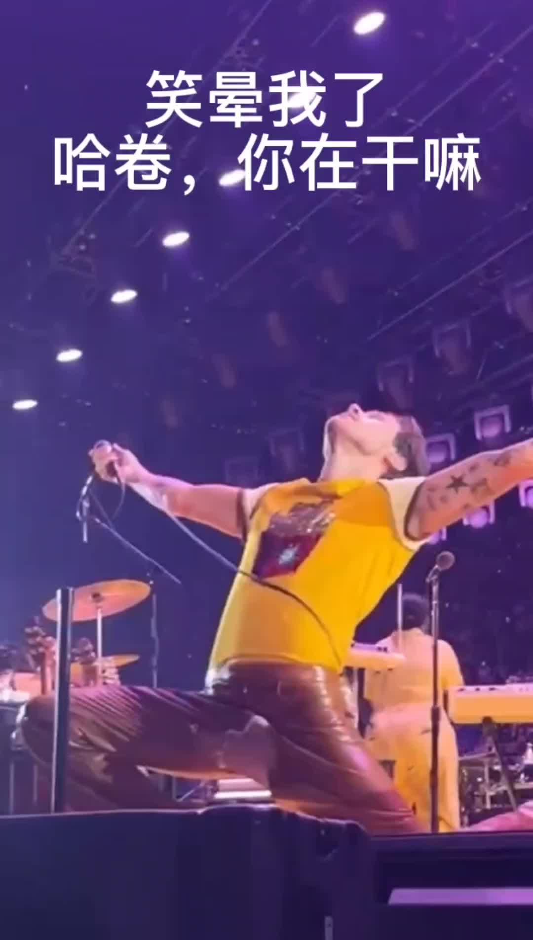 哈卷,你在干嘛9898