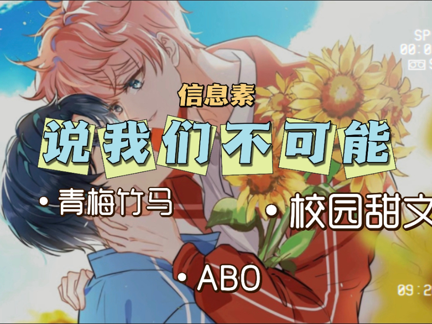 【广播剧全一季】毛球球作品iiabo 青梅竹马 校园甜文ii大昕&文森