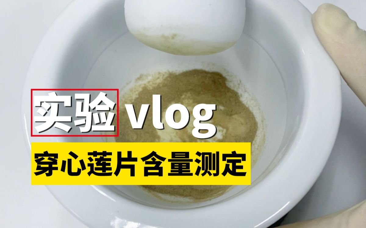 【实验vlog11】穿心莲片含量测定中供试品溶液的制备哔哩哔哩bilibili