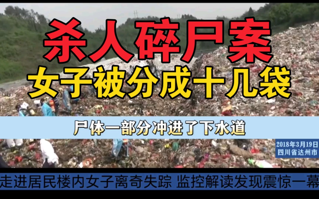 四川达州市《杀人碎尸案》女子被分成十几袋扔进垃圾桶哔哩哔哩bilibili