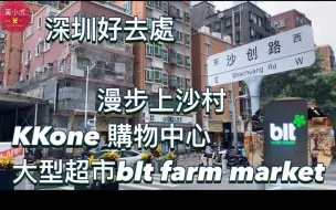 （第一集）香港人到深圳消費｜｜漫步上沙村｜KKone 購物中心｜大型超市blt farm market｜深圳美食｜shenzhen vlog