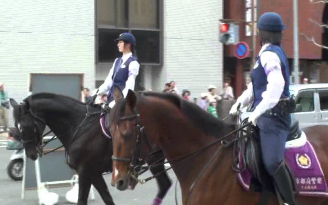 【日本女警系列】骑马巡逻的日本女警小姐姐哔哩哔哩bilibili