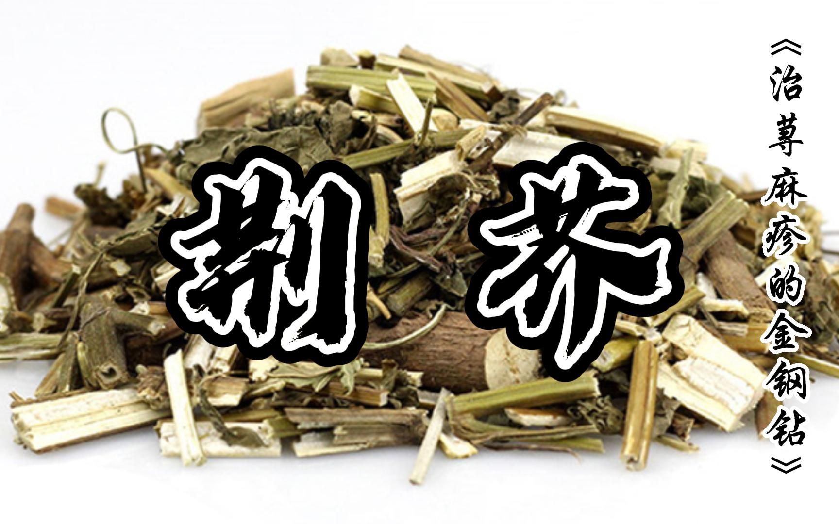 [图]《小郎中学医记》_荆芥_治荨麻疹的金刚钻