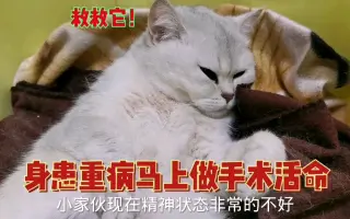 身患重病 搜索结果 哔哩哔哩 Bilibili