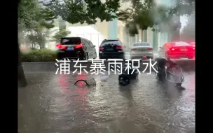 Download Video: 实拍浦东暴雨积水