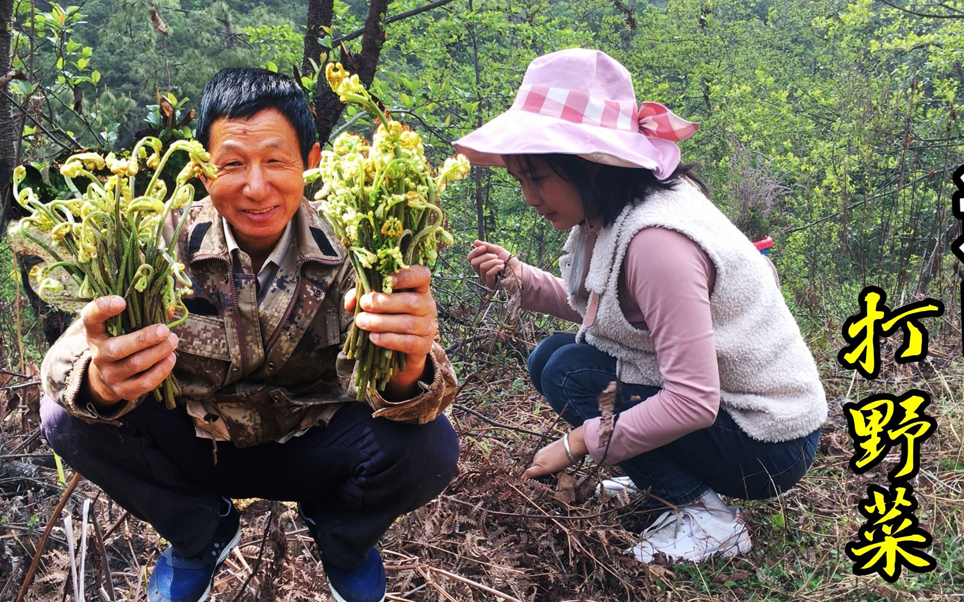 云南大山里雨后野货真多,叔侄三人一同进山搜寻,意外发现露水鸡枞哔哩哔哩bilibili