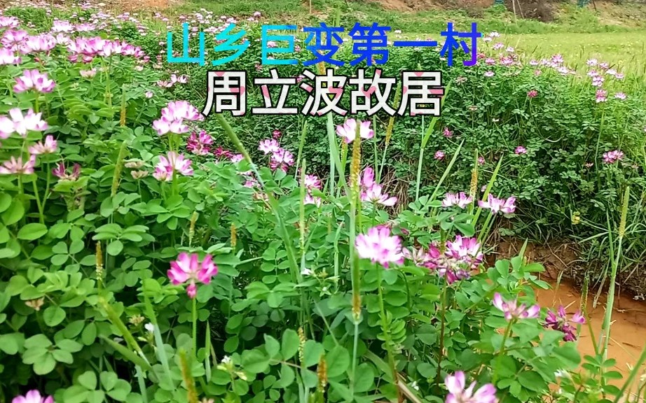 [图]湖南益阳，山乡巨变第一村，著名作家周立波的故居会是什么样子