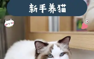 Download Video: 第一次养猫，养公猫好还是母猫好呢？