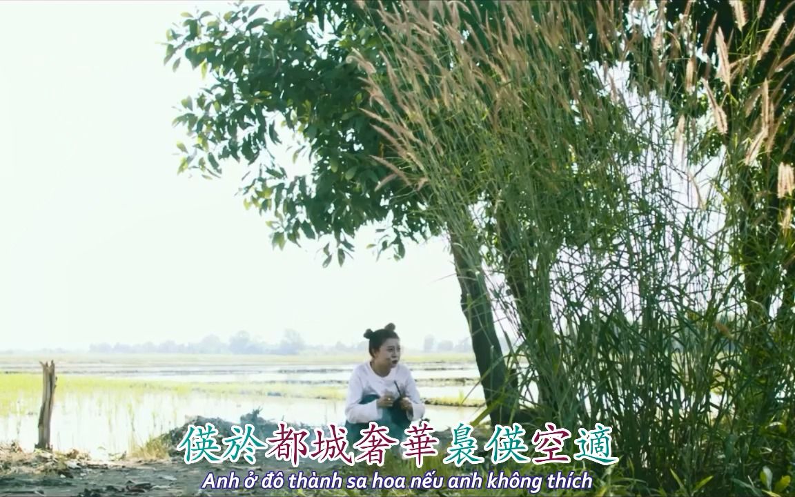 [图]《Mệt Chưa? Anh Về Đây 𤻻𣗓偀𧗱低》by Hana Cẩm Tiên 錦仙，漢喃歌詞字幕（MV一分鐘版）