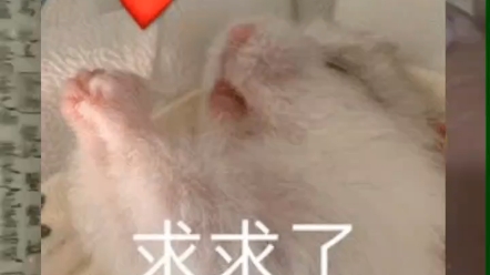 中医热度不能停哔哩哔哩bilibili