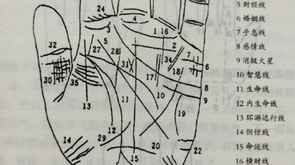 掌纹上常见纹路哔哩哔哩bilibili