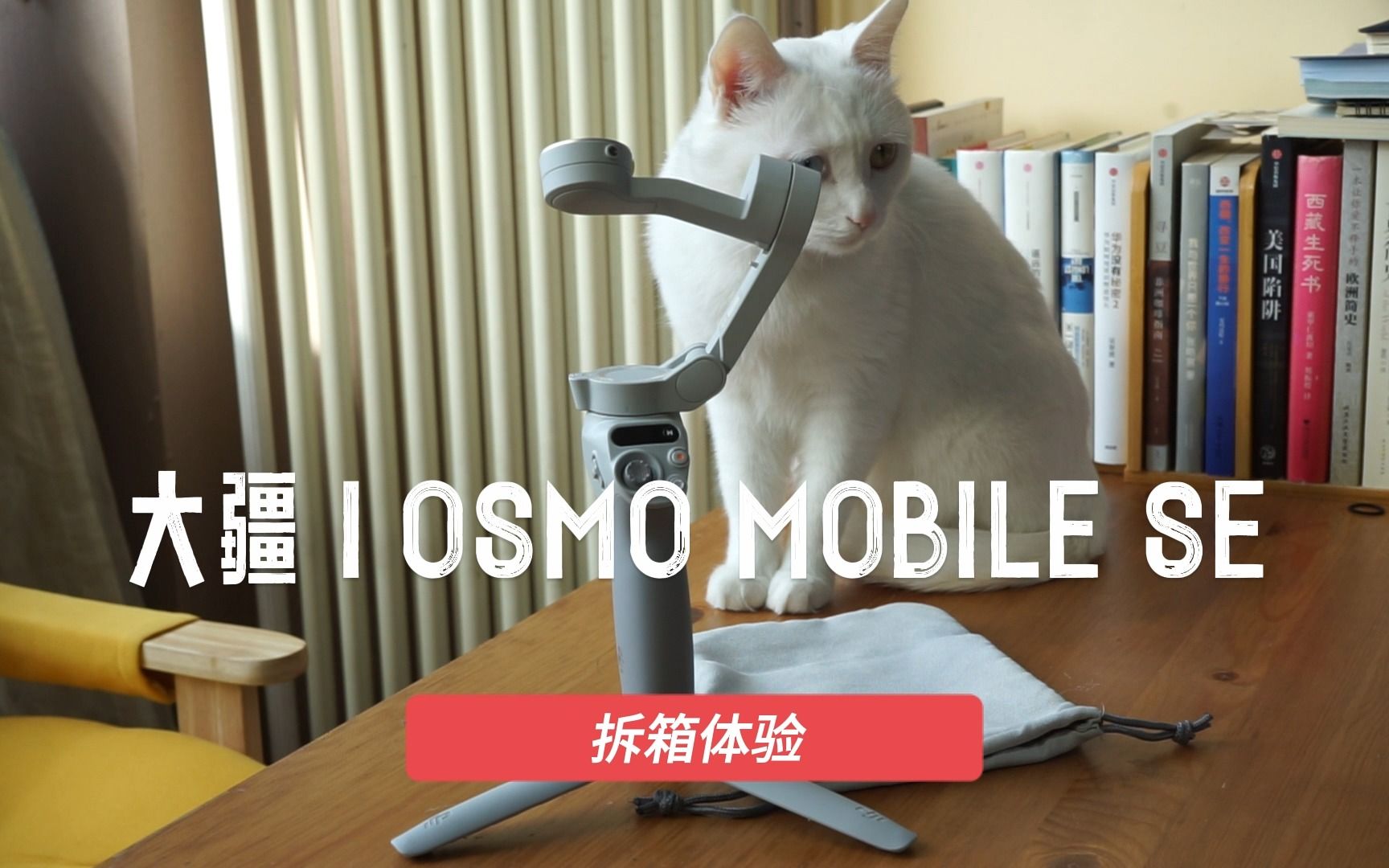 大疆OSMO MOBILE SE拆箱初体验:599元有点儿香哔哩哔哩bilibili