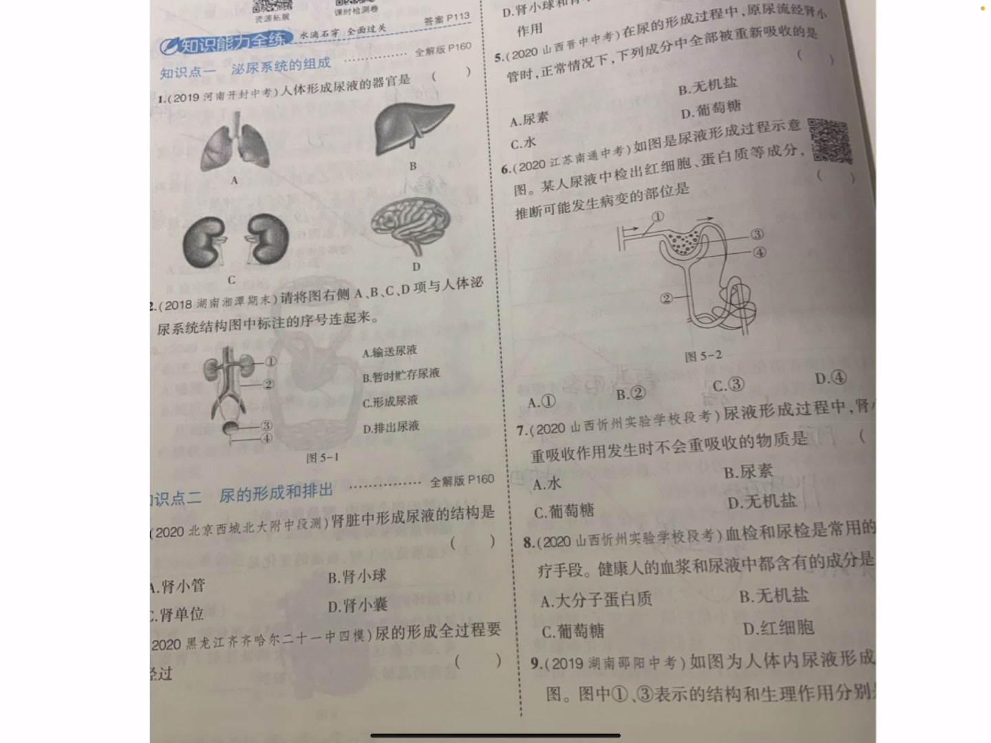 七年级生物泌尿系统知识讲解哔哩哔哩bilibili