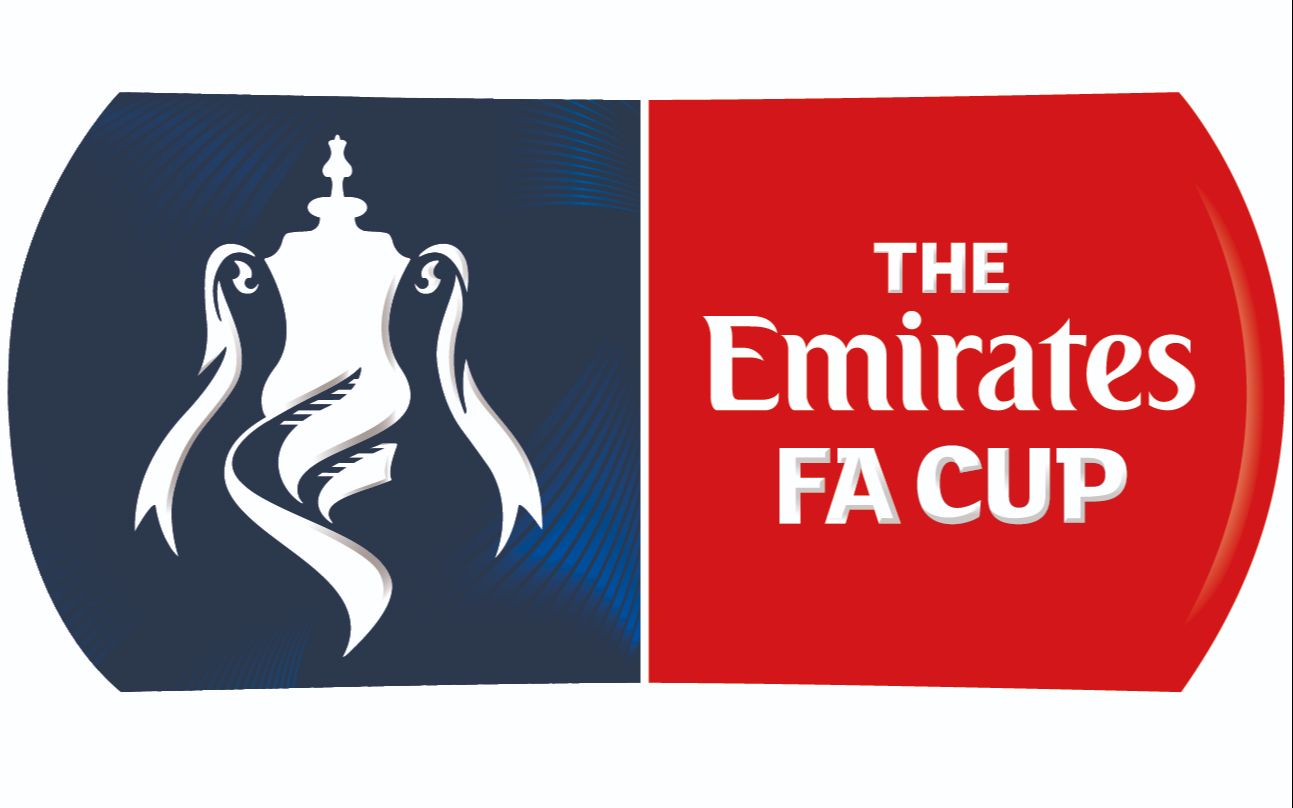 【03/16/2019】【足总杯】【全场集锦】【西语解说】斯旺西2-3曼城