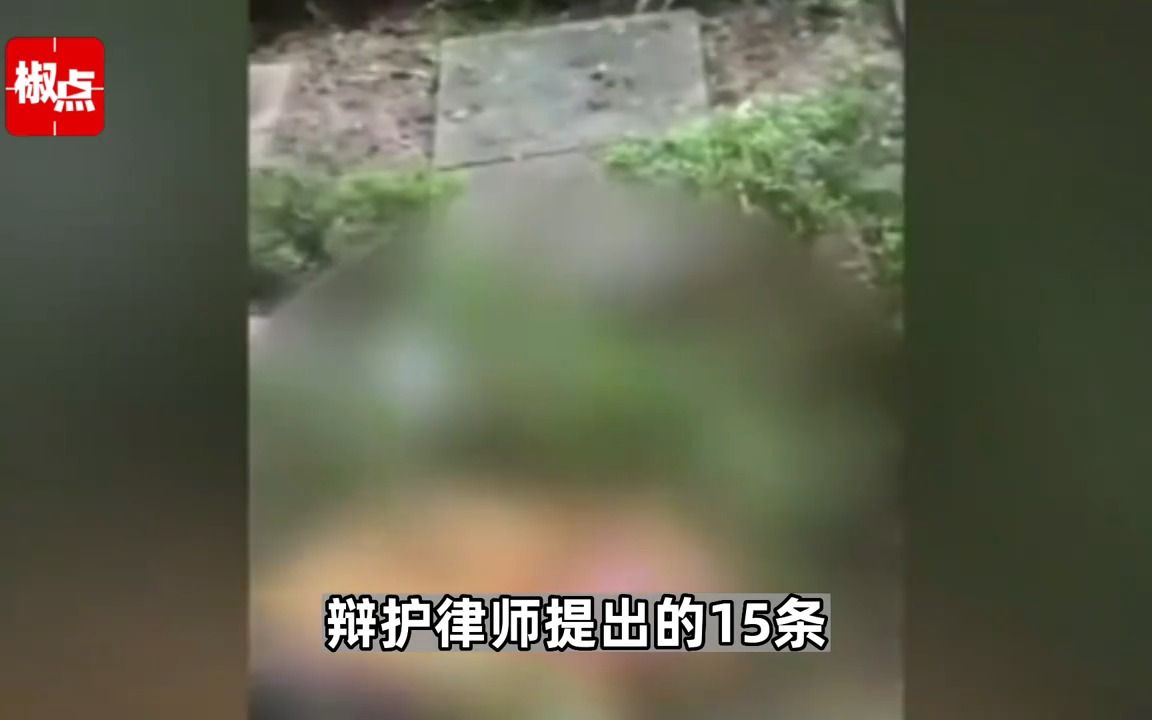 重庆姐弟坠亡案二审判决书:逐条评判15条上诉理由及辩护意见,均不予采纳哔哩哔哩bilibili