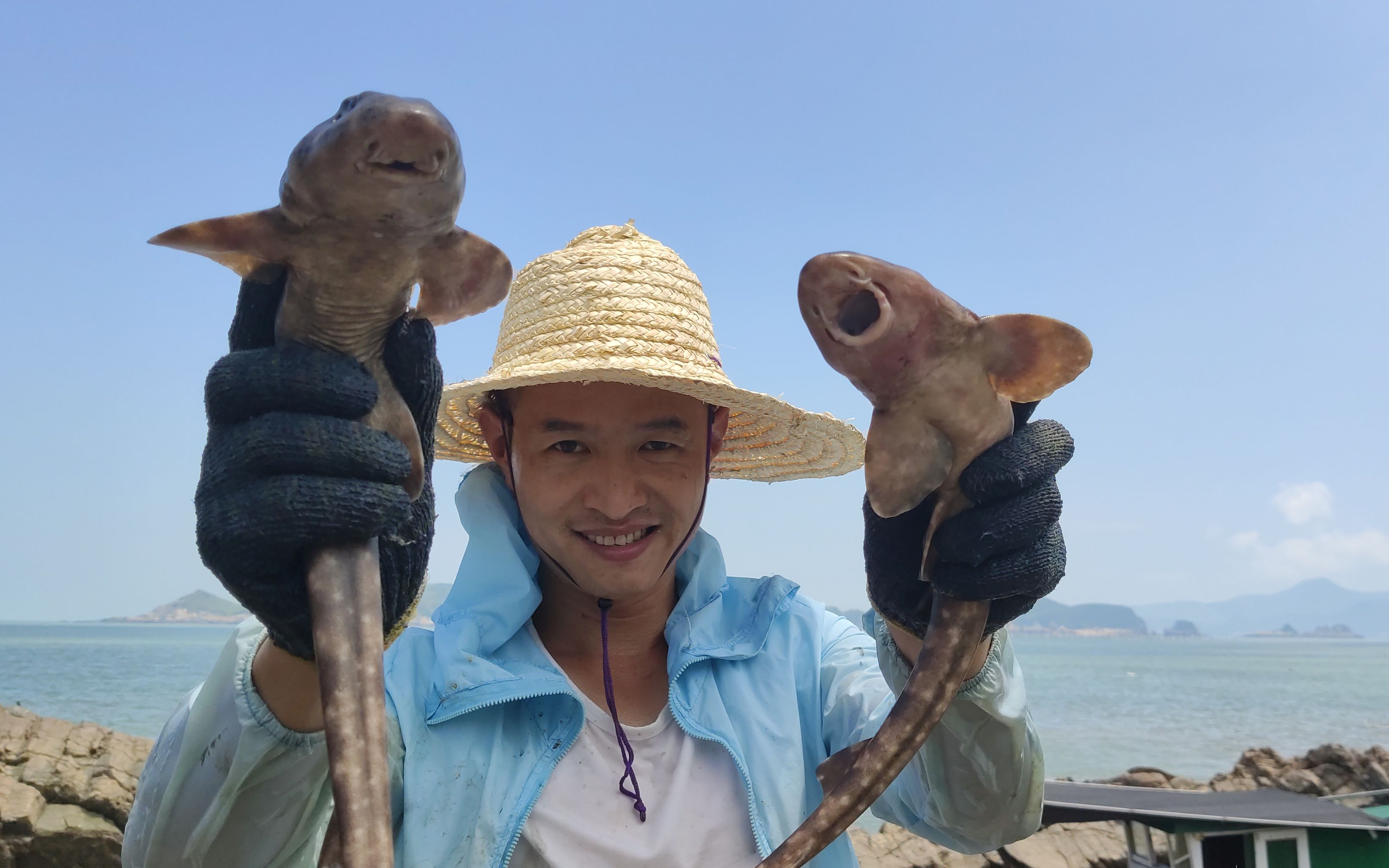 小明发现一片赶海新大陆,这里水坑多海货更多,而且都是值钱大货