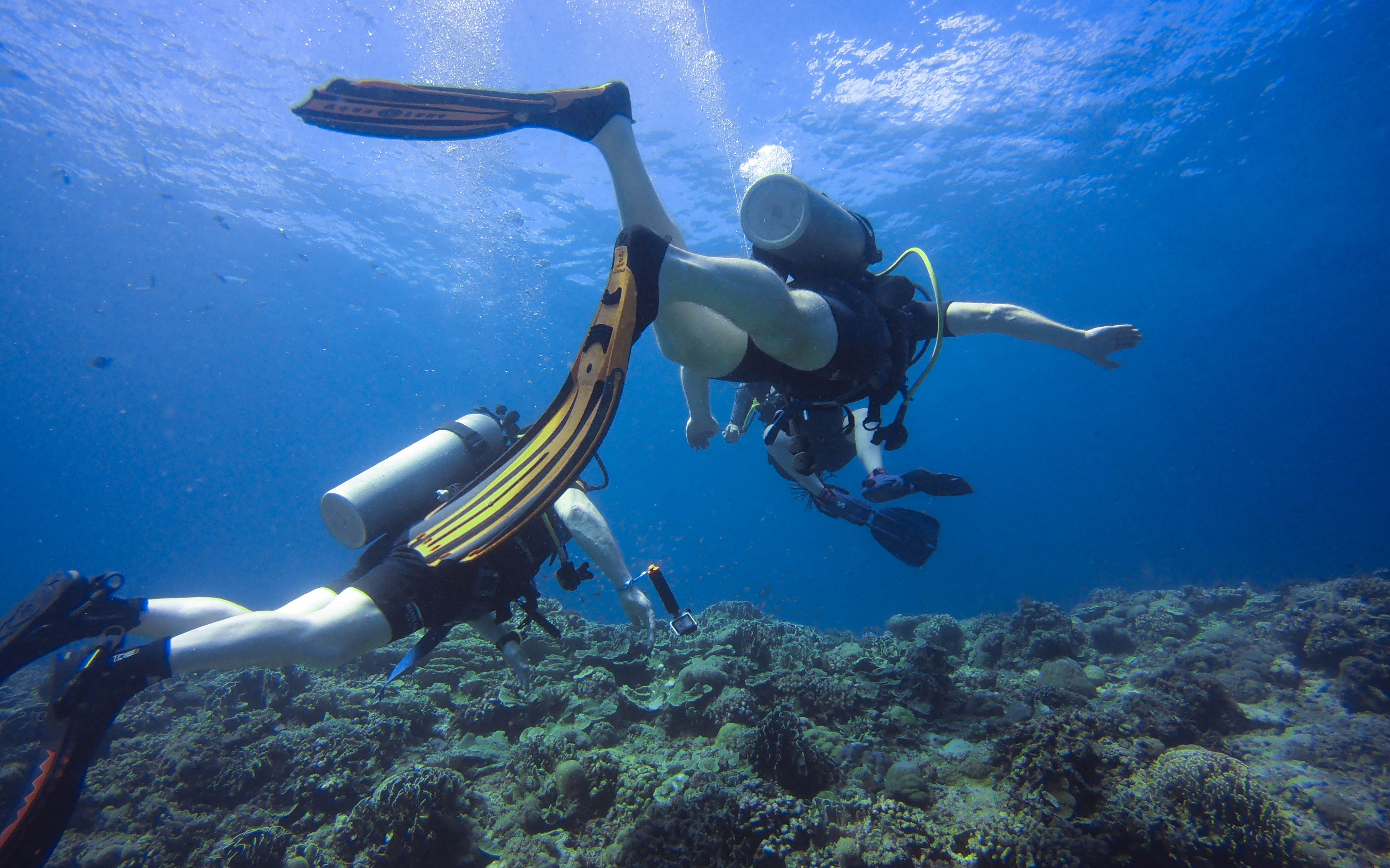 divingintheair印尼龙目岛giliair潜水