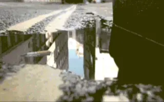 不要乱扔垃圾，环保公益小短视频，真的超短…(-ι_-)