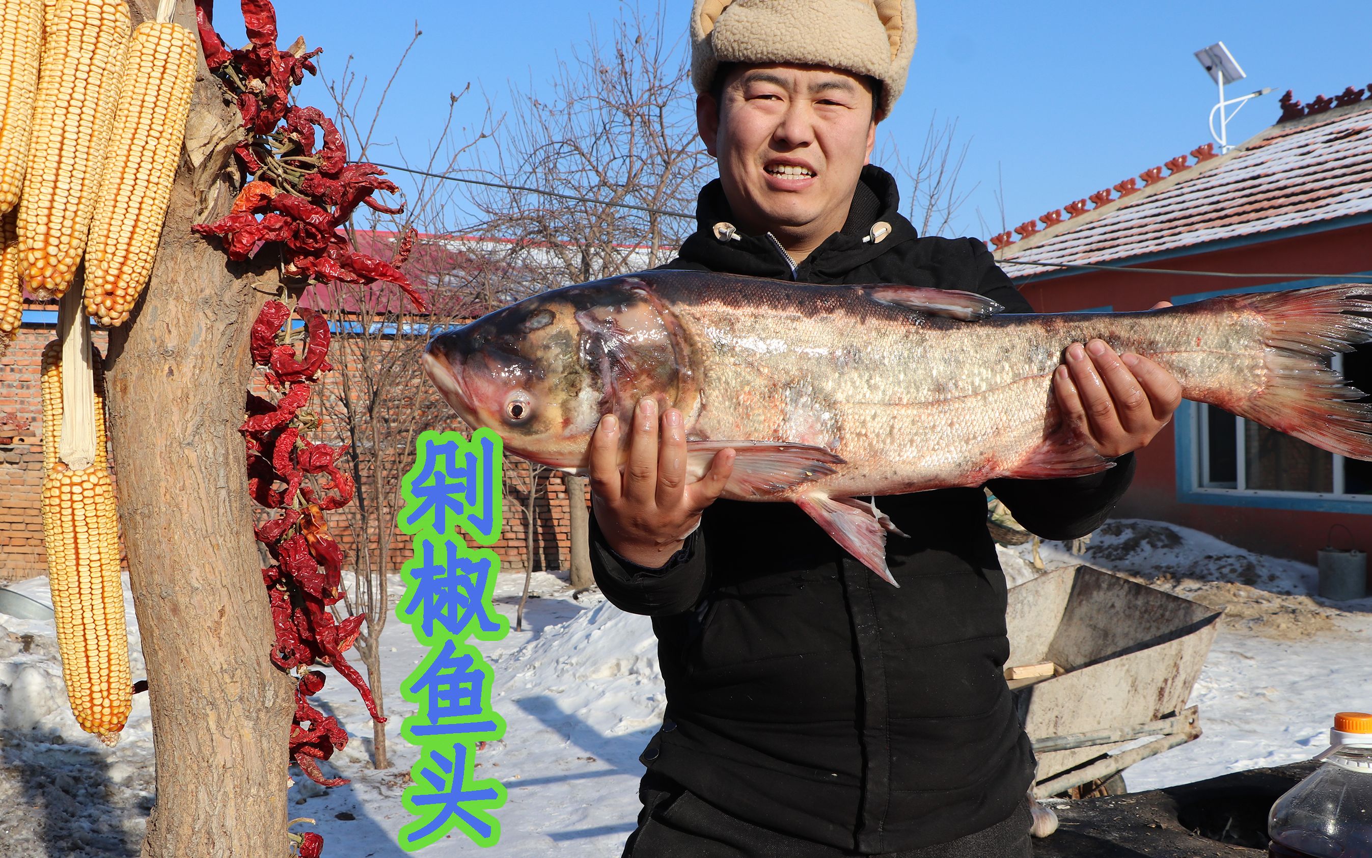 12斤大胖头鱼做剁椒鱼头,家常做法,鱼头鲜嫩爽口味道好!哔哩哔哩bilibili