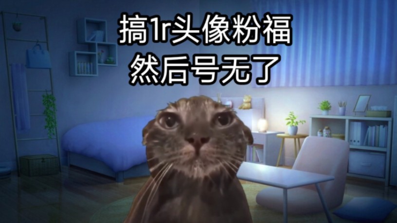 【猫meme】关于我搞1r头像粉福结果号无了这件事哔哩哔哩bilibili