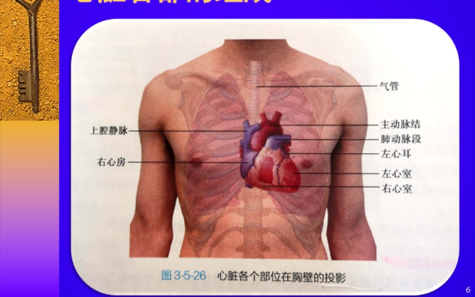 急救小知识宣讲哔哩哔哩bilibili