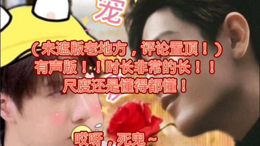 《宠爱》93 宠妻狂魔肖战vs小傻子王一博 战山为王加生子 双洁