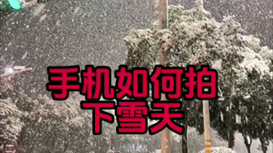 下雪天怎么拍呢?手机如何拍下雪天呢?教程来了!建议收藏!哔哩哔哩bilibili