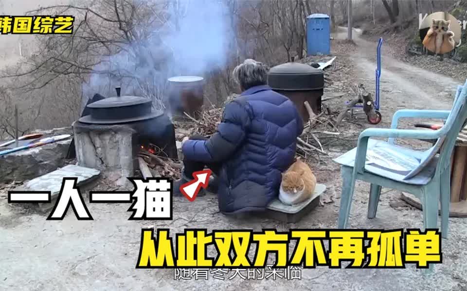 [图]独居老人救下一只流浪猫，猫咪为了报恩，每天陪伴老人左右