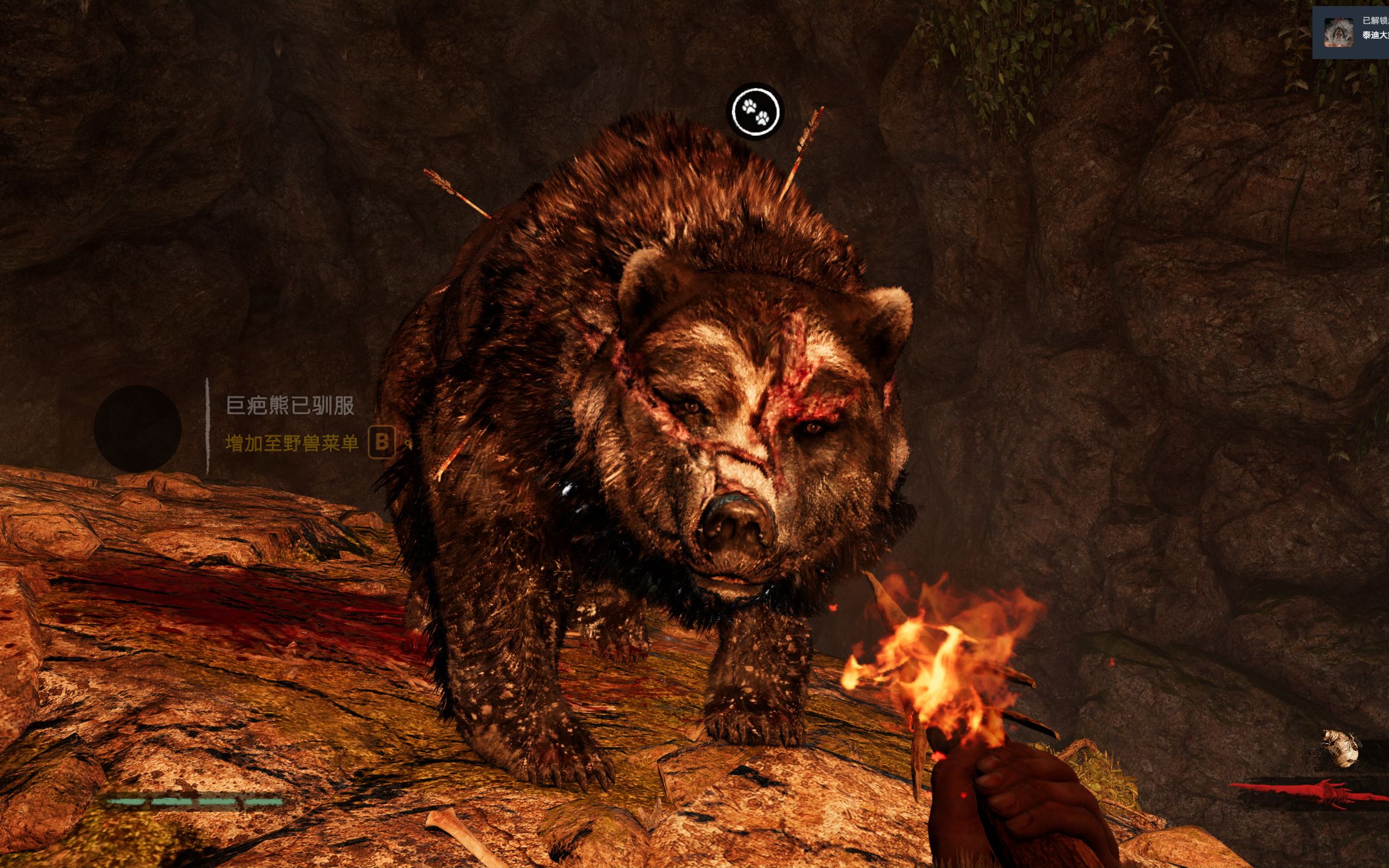 孤岛惊魂原始杀戮25终极驯服刀疤熊了我太难了