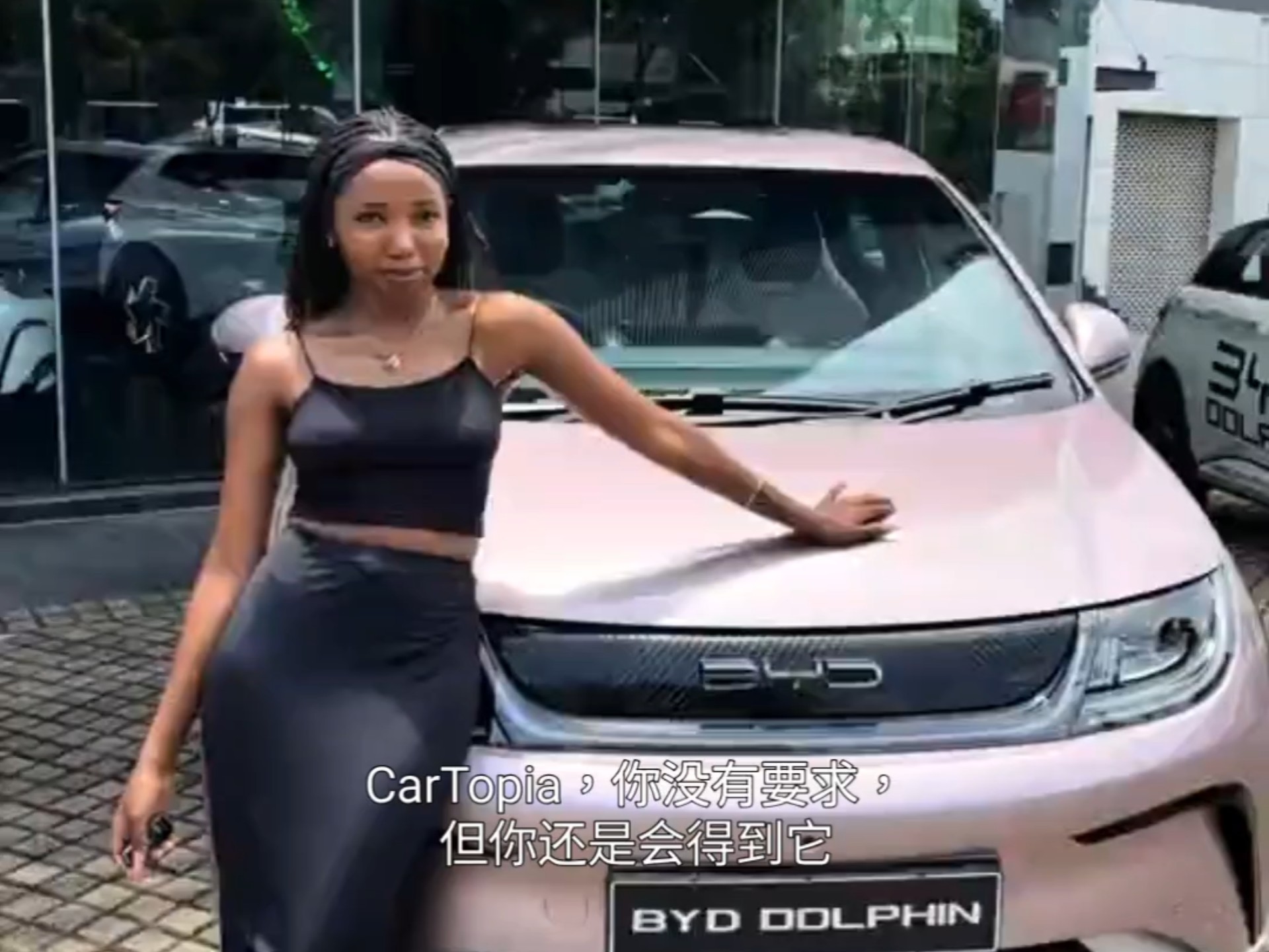 南非黑珍珠介绍比亚迪海豚