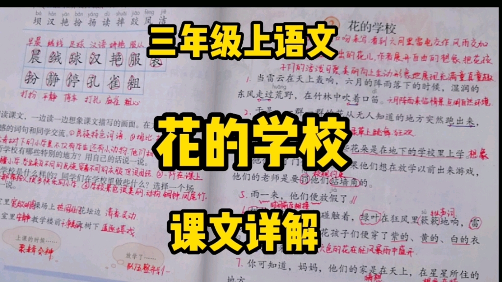 三年级语文上册:在诗人泰戈尔笔下有一所《花的学校》,你想知道它是什么样的吗?一起走进课文了解一下吧!哔哩哔哩bilibili