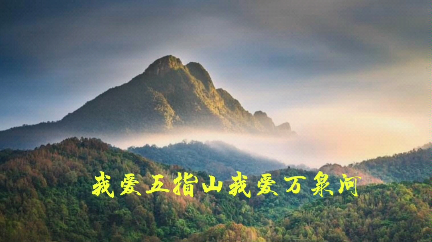 活动  电吹管深情演经典老歌《我爱五指山我爱万泉河》!