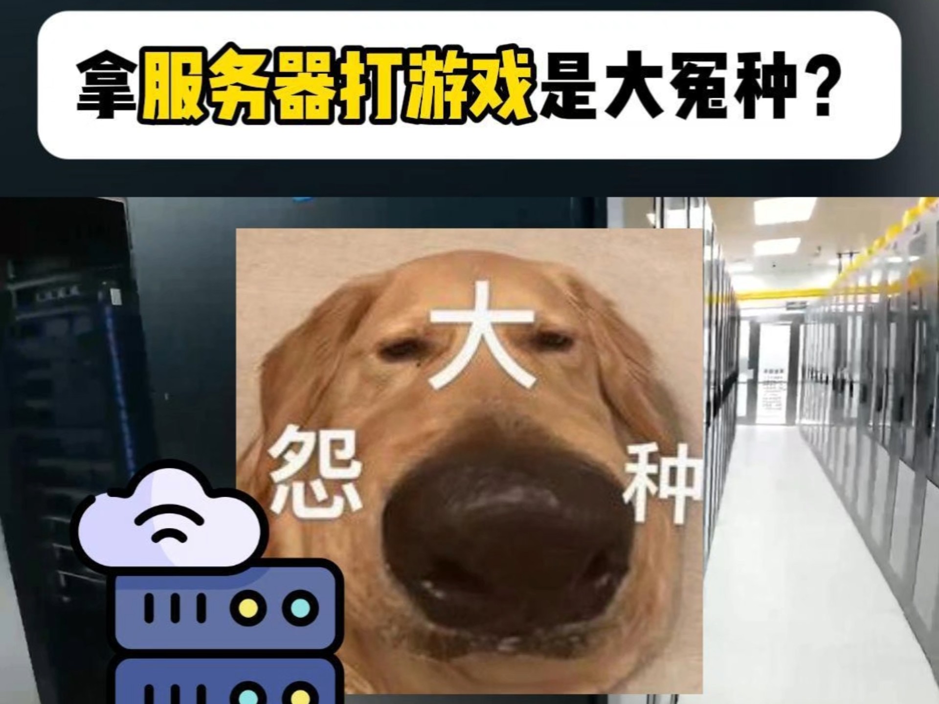 服务器打游戏为啥是大冤种?