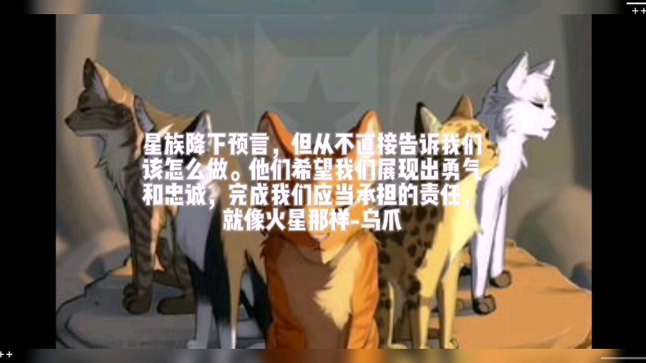 猫武士经典语句哔哩哔哩bilibili