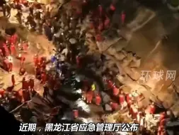 Video herunterladen: 11死7伤，齐齐哈尔体育馆坍塌事故调查报告公布，51人被追责！2责任人病亡