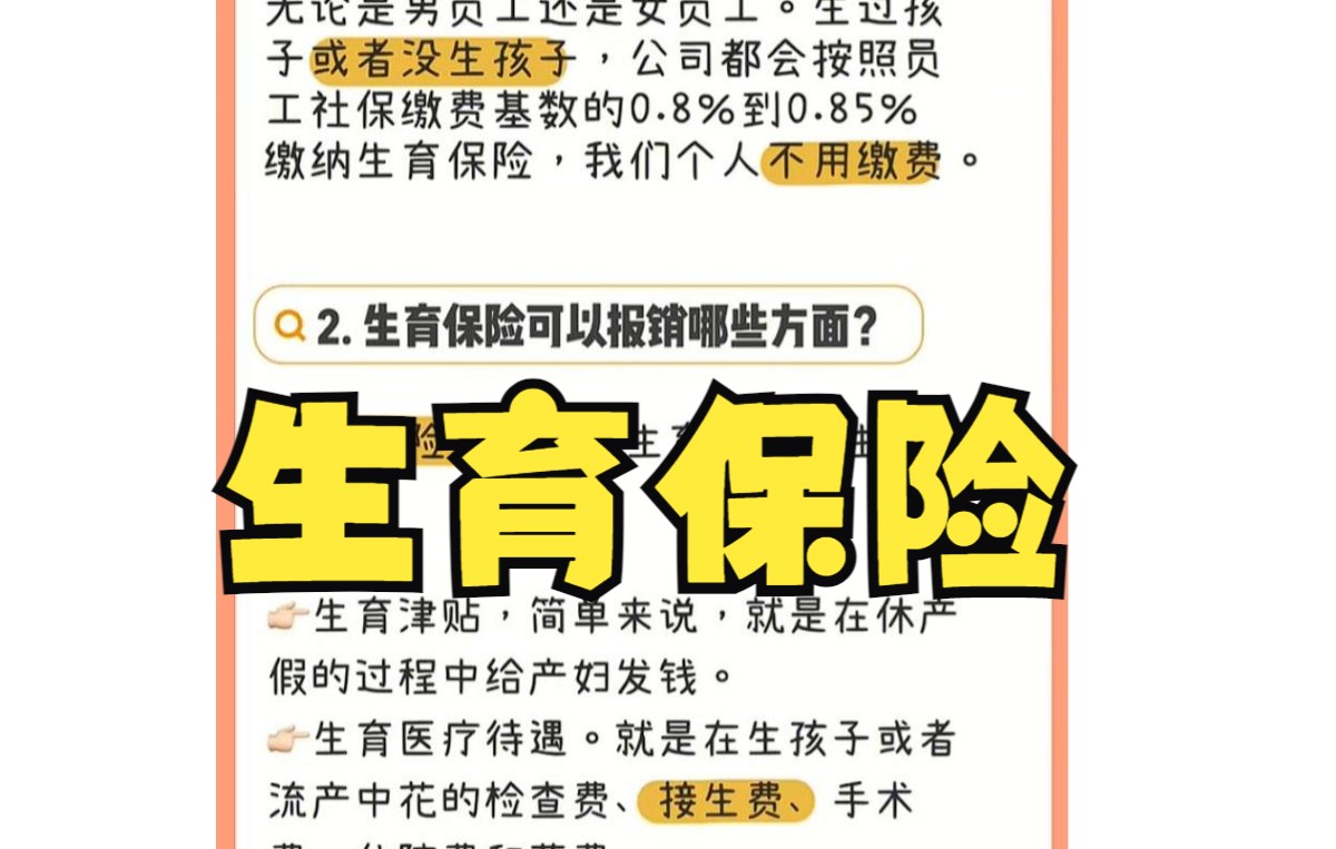 最新生育保险报销,领生育津贴攻略,快收藏起来!哔哩哔哩bilibili