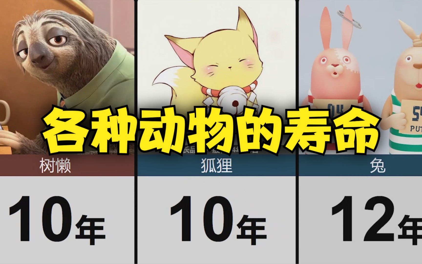 各种动物的寿命圈养