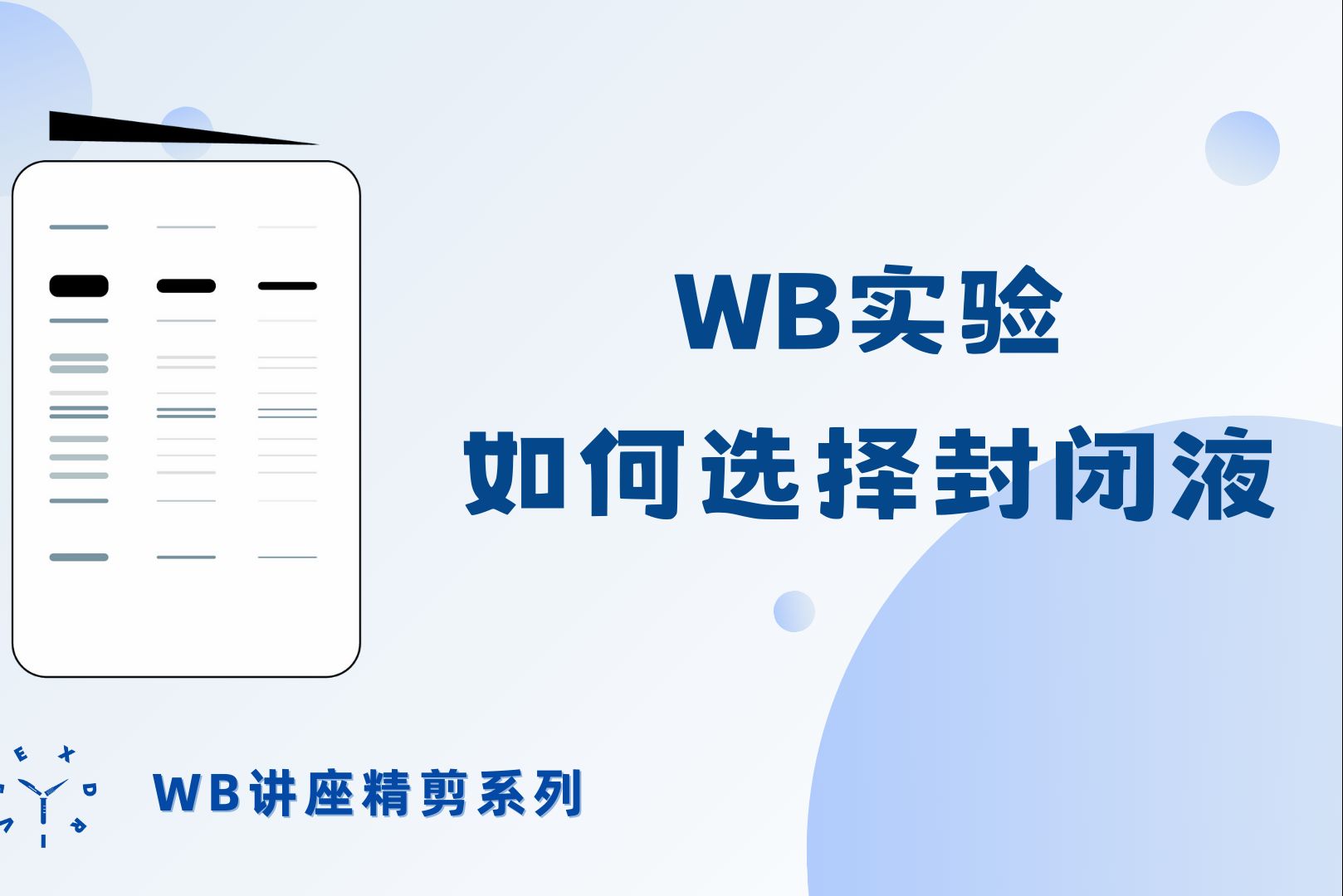 【WB讲座CUT】WB实验如何选择封闭液哔哩哔哩bilibili