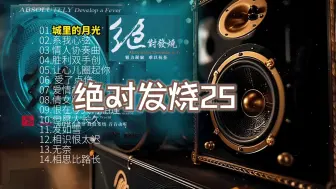 Download Video: 【Hi-Res】《绝对发烧25HQⅡ》~配耳机或音箱