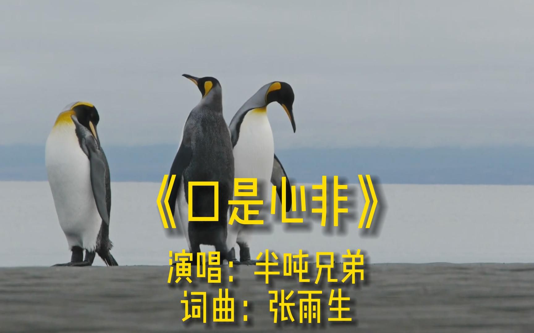 [图]《口是心非》完整版MV，原唱半吨兄弟，经典流行歌曲，唯美烟嗓热歌