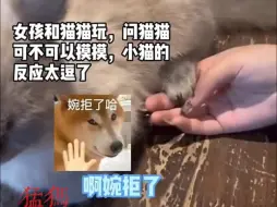 下载视频: 女生问猫猫能不能摸摸它，小猫连连用脚表示拒绝，女生：真是一场酣畅淋漓的婉拒