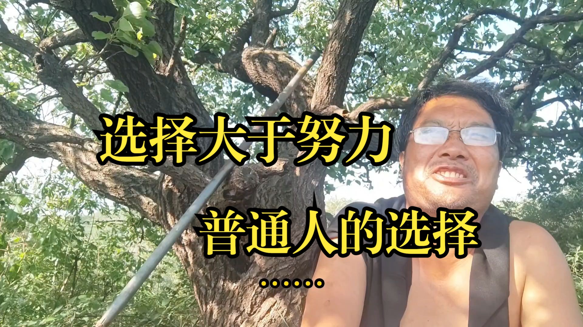 选择大于努力!普通人的选择...哔哩哔哩bilibili