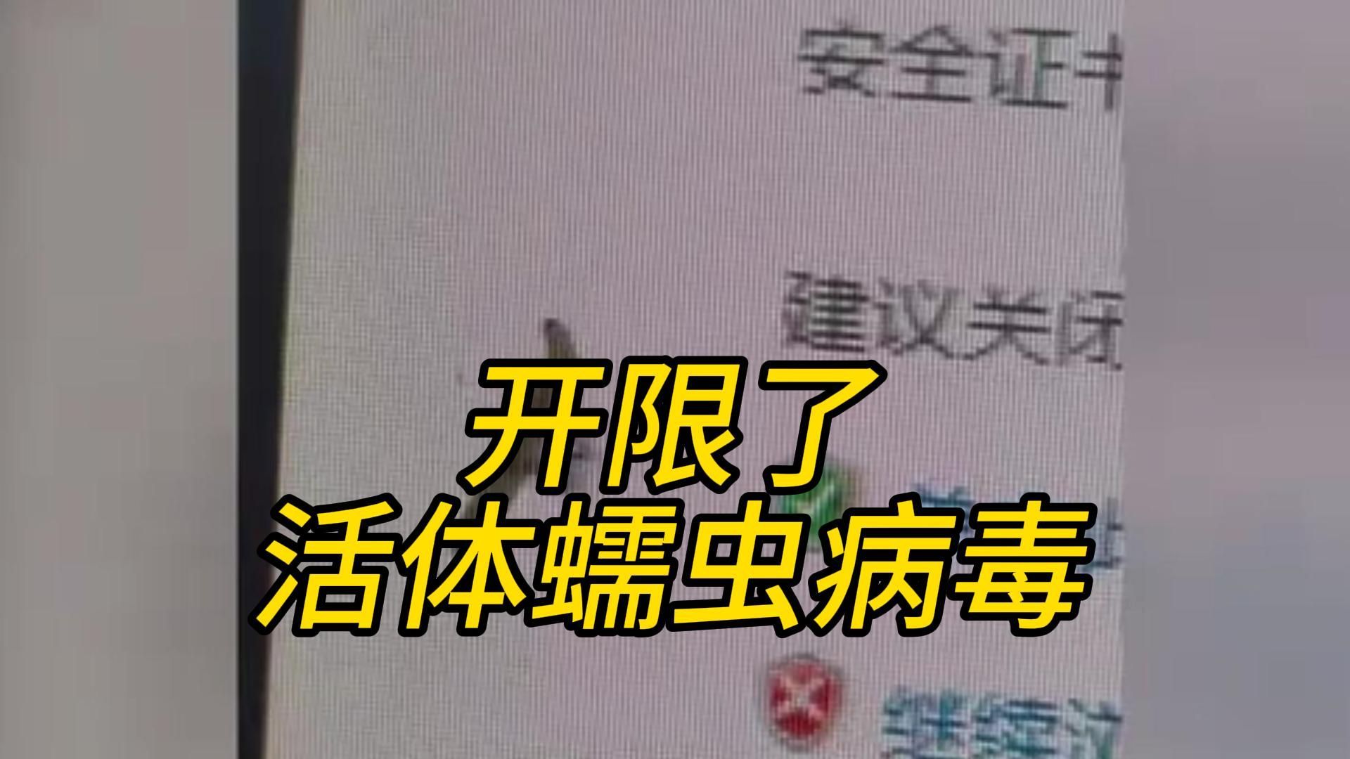 男子上班发现公司电脑屏内有活虫,网友:蠕虫病毒,建议用软件杀杀哔哩哔哩bilibili