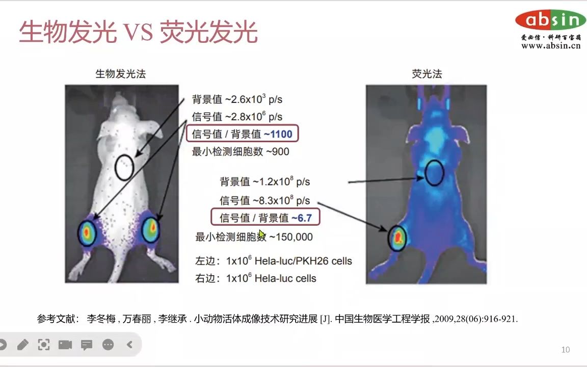 蛋白、小分子化合物适合生物发光还是荧光发光?答案在这里!哔哩哔哩bilibili