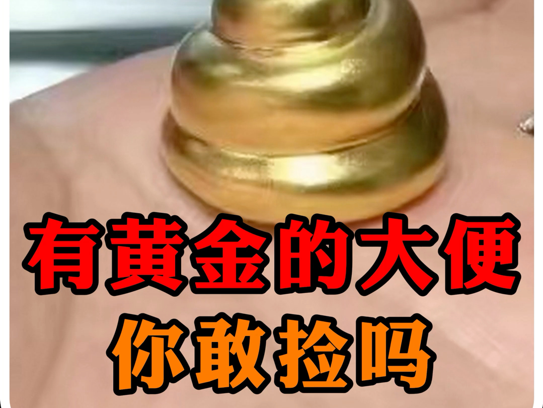 黄金大便捡起来?!黄金真的存在吗?哔哩哔哩bilibili