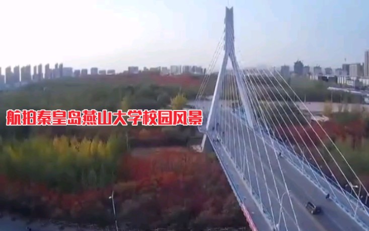 航拍秦皇岛燕山大学校园风景哔哩哔哩bilibili