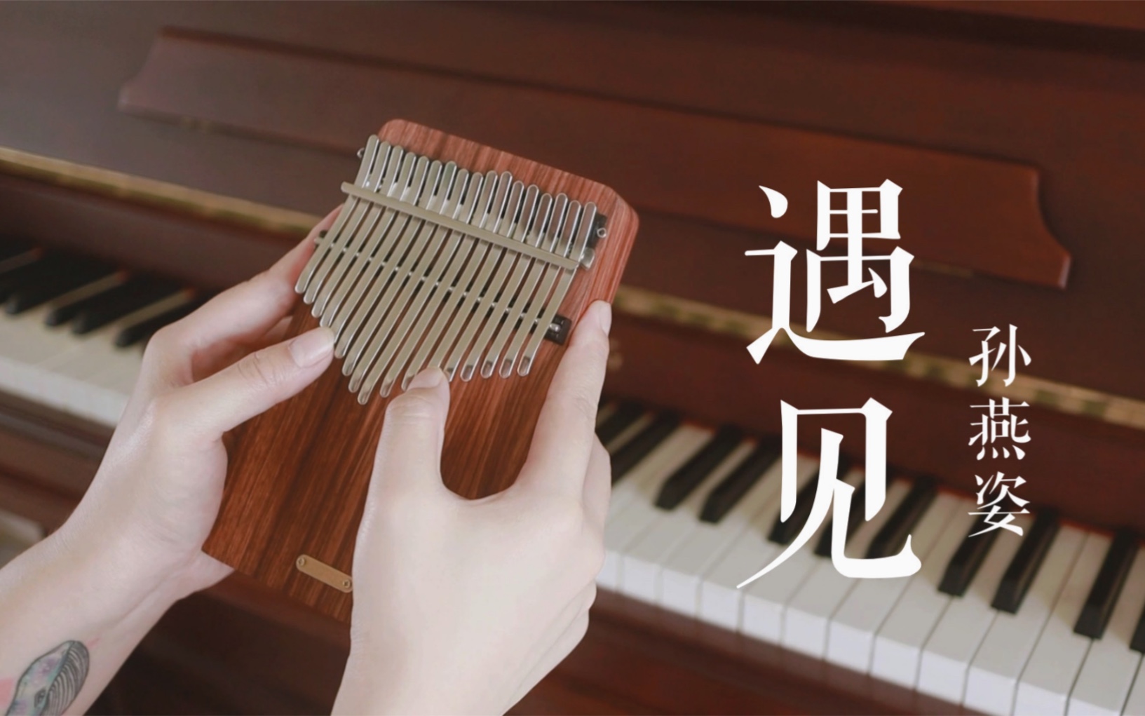 【拇指琴】《遇见》孙燕姿 永恒经典